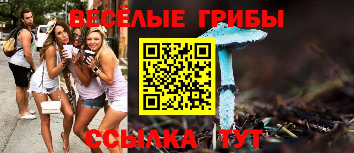 Псилоцибиновые грибы прущие грибы  Псилоцибиновые грибы MAGIC MUSHROOMS  Вход с VPN  Берёзовский 