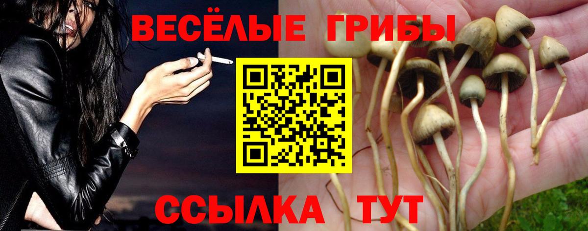 Галлюциногенные грибы Cubensis  Берёзовский 